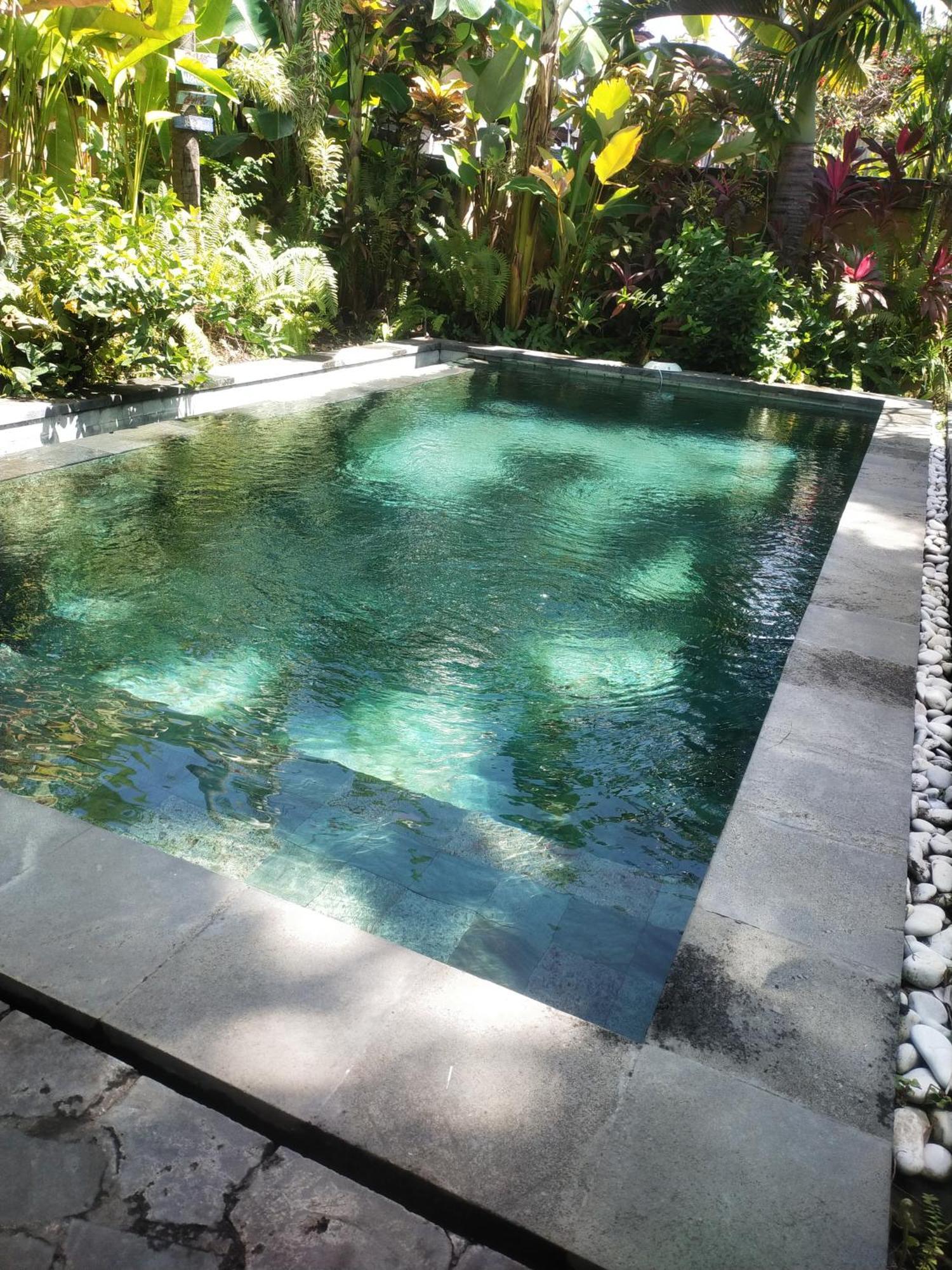 Comeback Guesthouse Canggu Exteriér fotografie