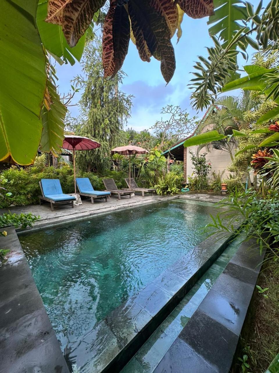 Comeback Guesthouse Canggu Exteriér fotografie